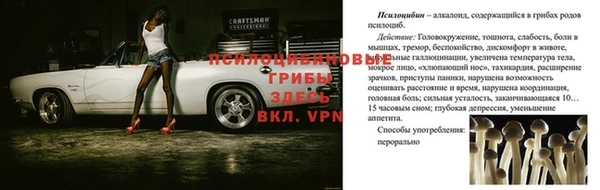 каннабис Каменногорск